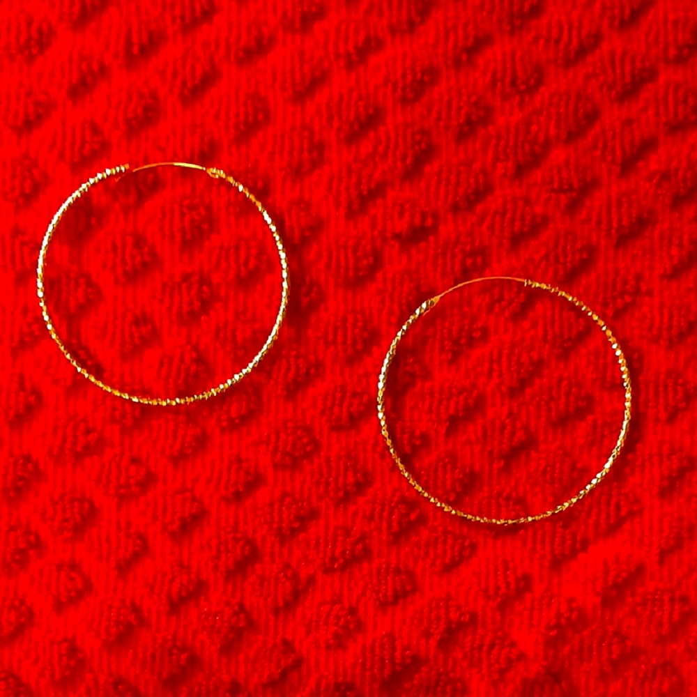 Elegant Gold Hoop Earrings